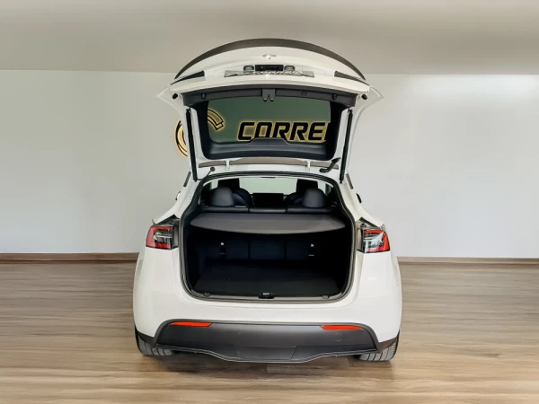 Tesla Model Y Performance 5