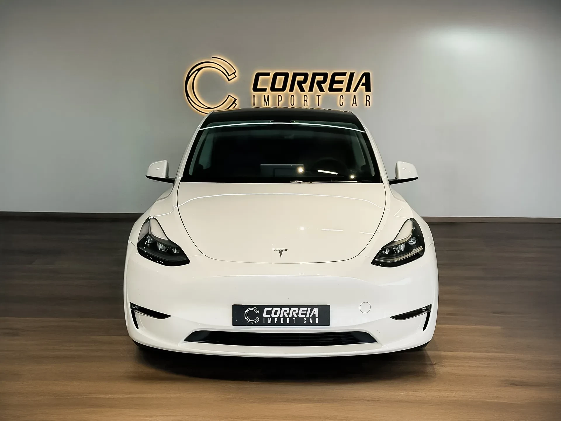 Tesla Model Y Performance 2