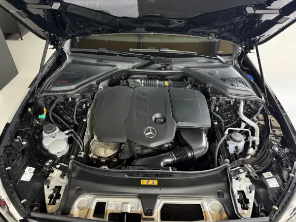 Mercedes-Benz E 300 de 31