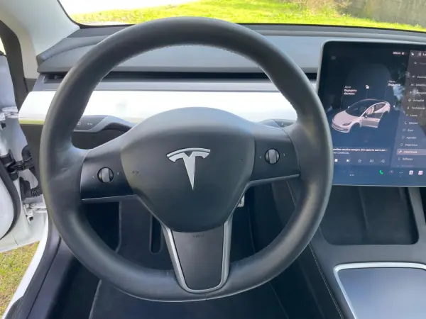 Tesla Model 3 Long Range AWD Dual Motor Performance 30