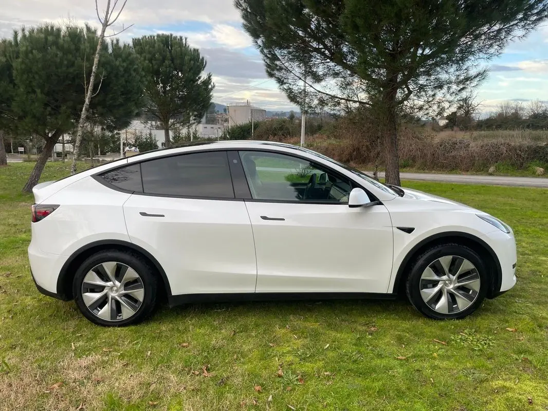 Tesla Model Y RWD 2