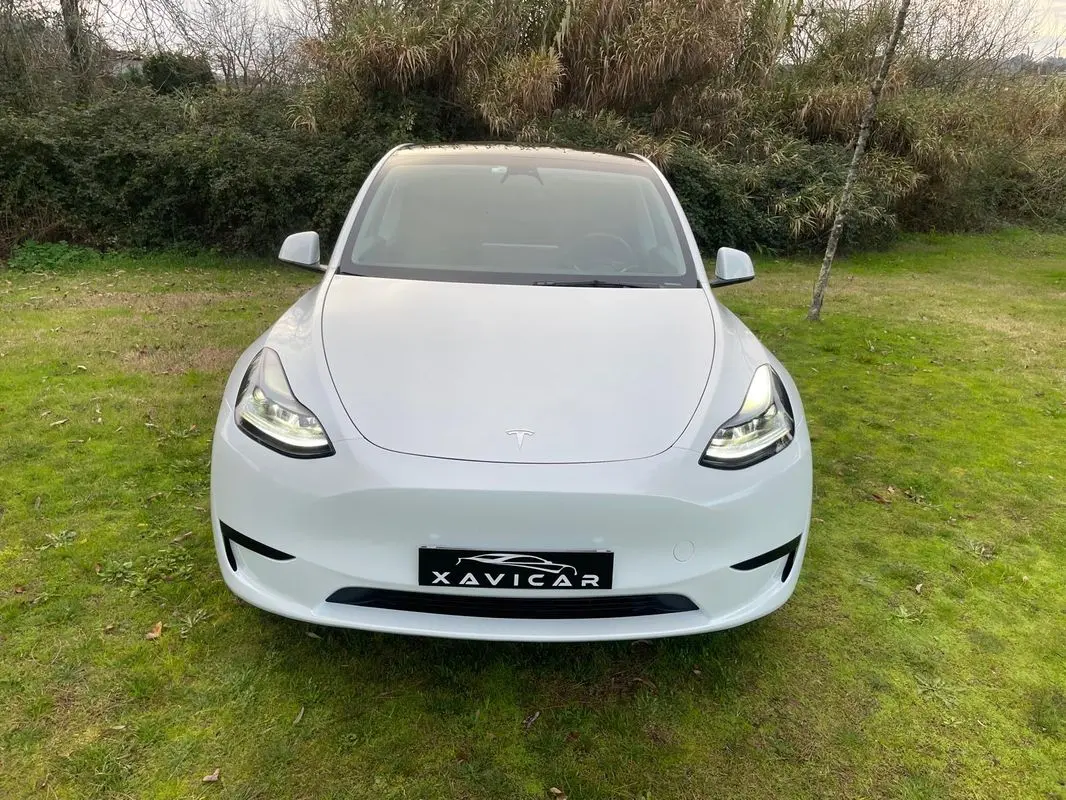 Tesla Model Y RWD 10
