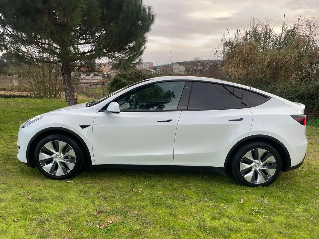Tesla Model Y RWD 13