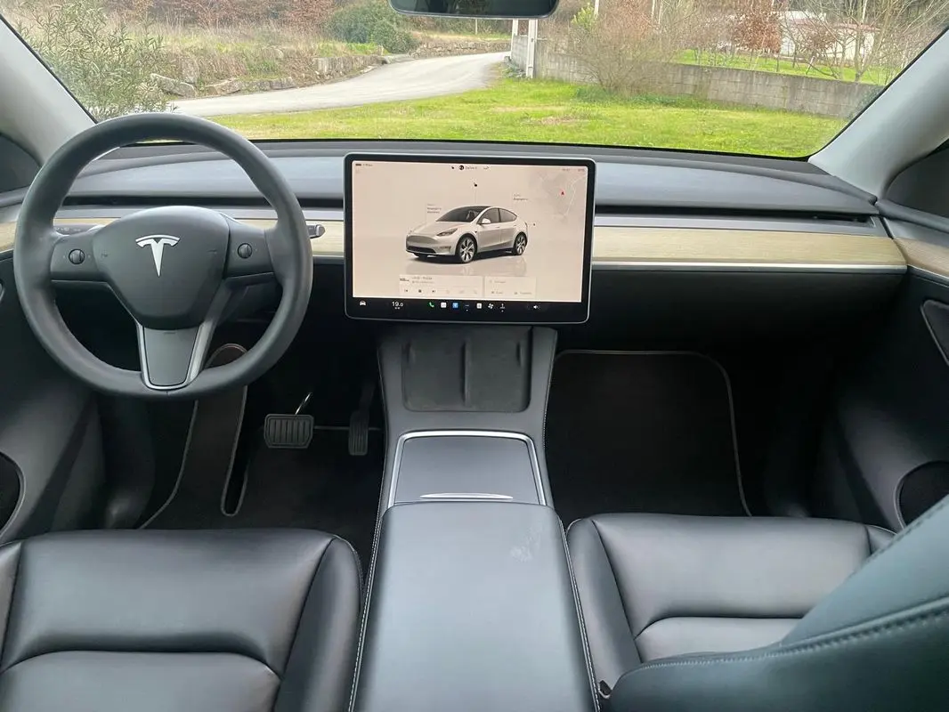 Tesla Model Y RWD 15