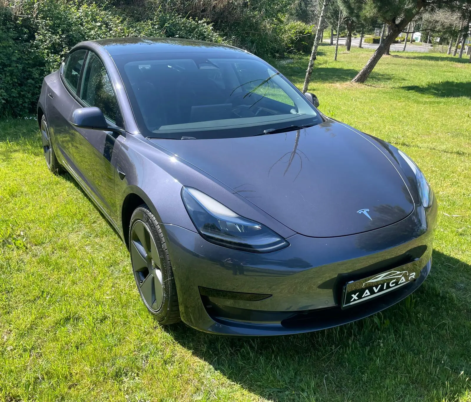 Tesla Model 3 Standard Range Plus RWD 12