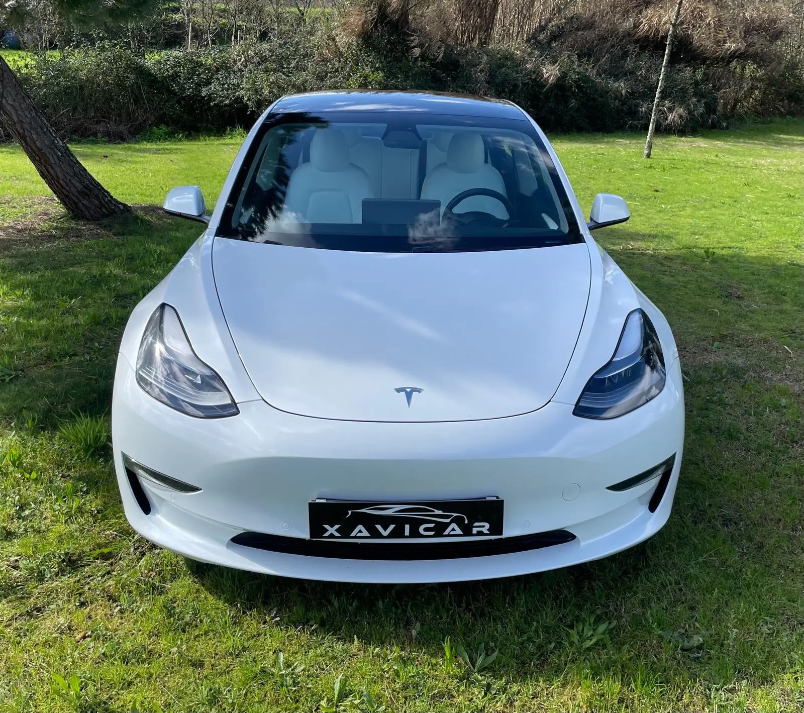 Tesla Model 3 Long Range AWD Dual Motor Performance 34