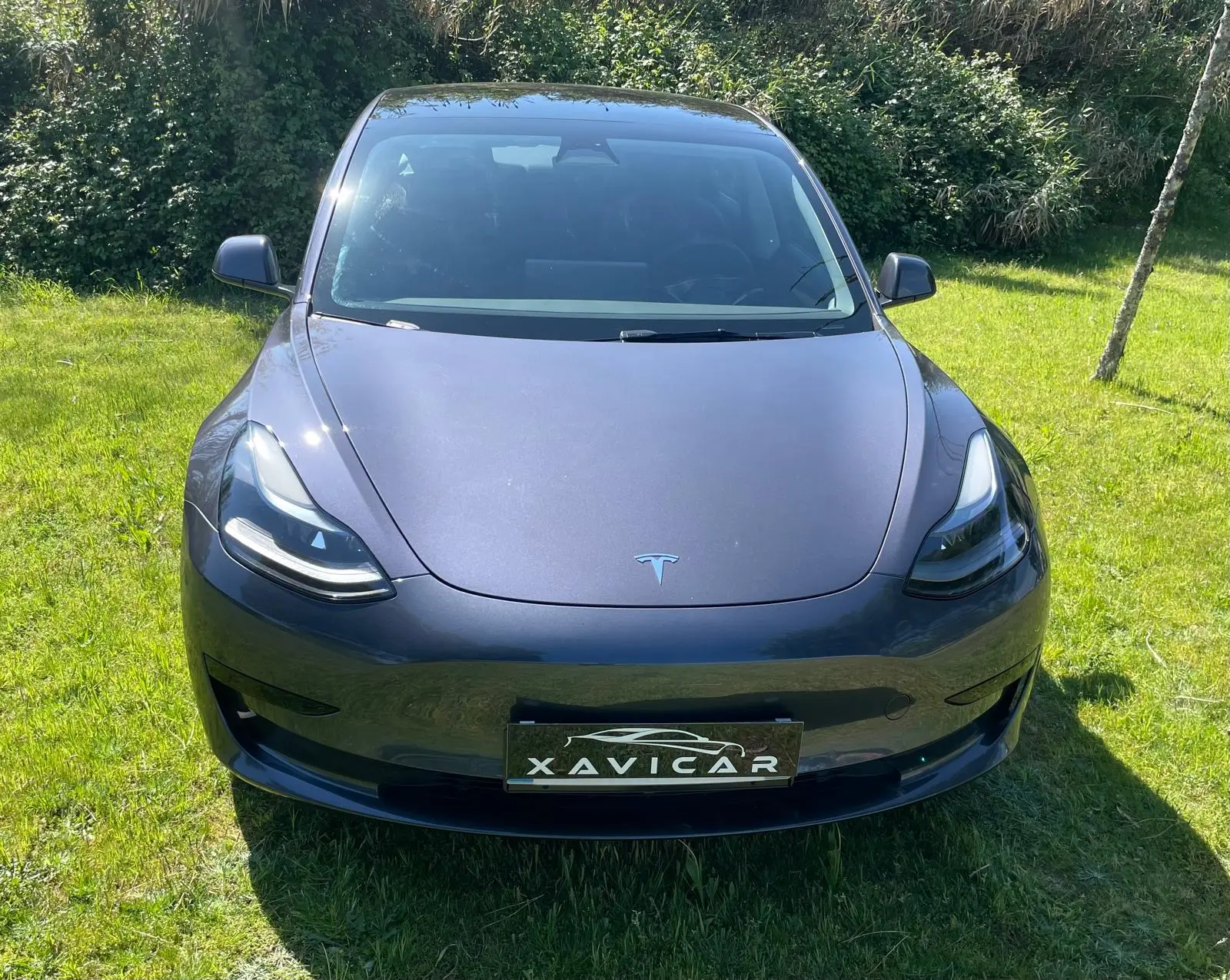 Tesla Model 3 Standard Range Plus RWD 2