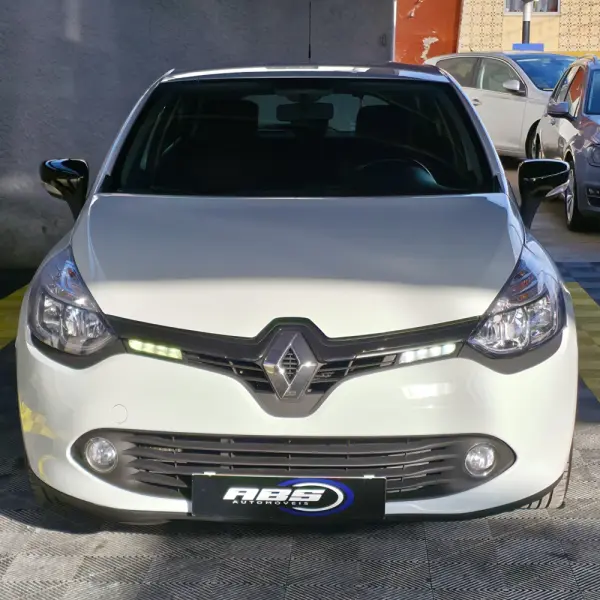 Renault Clio Dynamic S 6
