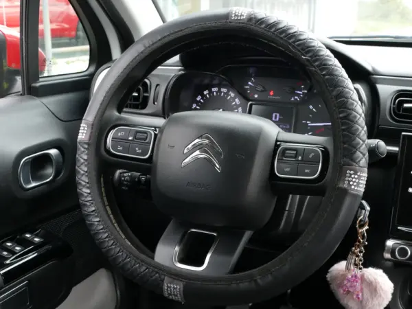 Citroën C3 1.5 BlueHDi YOU! 29