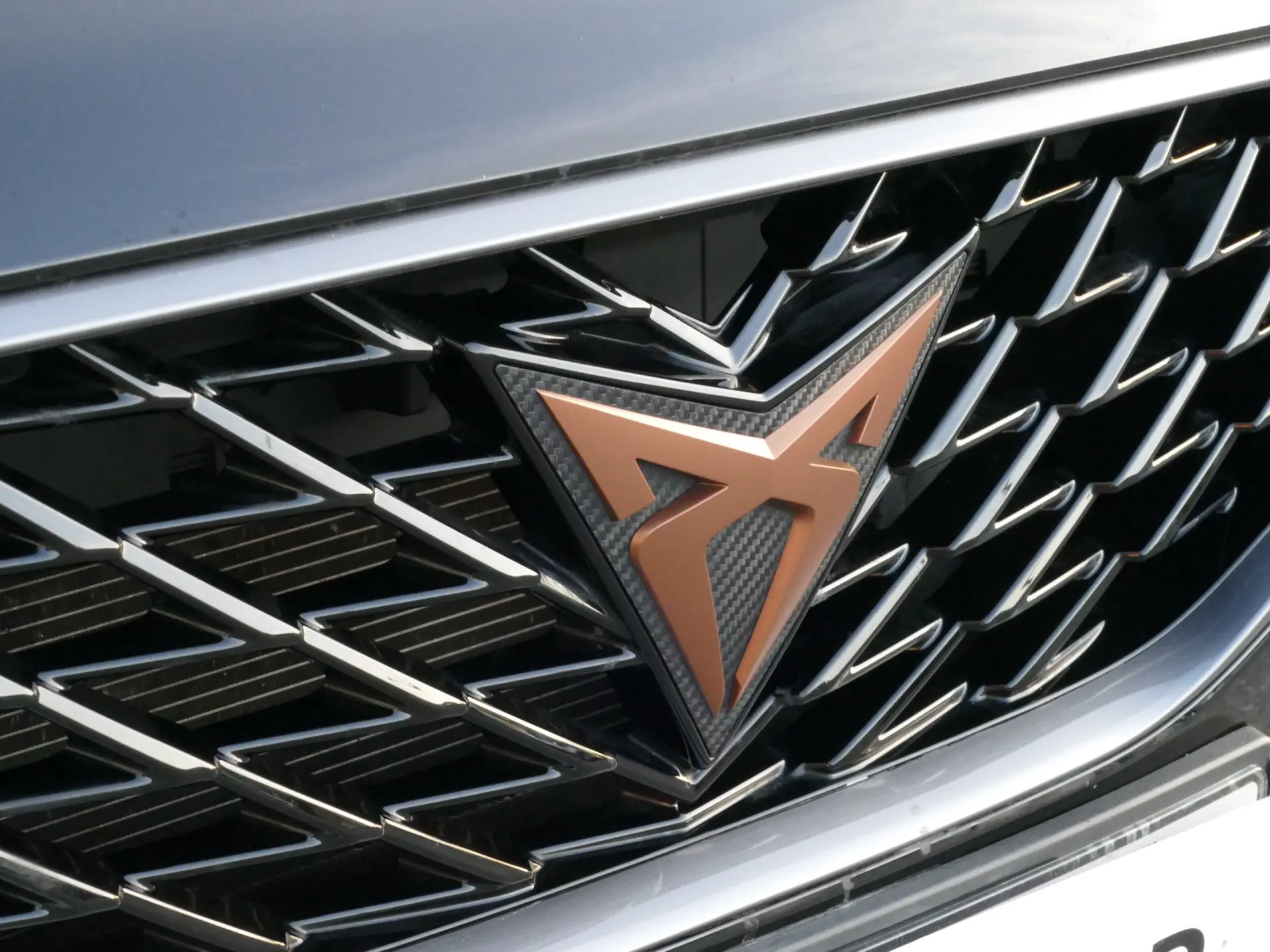 Cupra Formentor 2.0 TDI 10