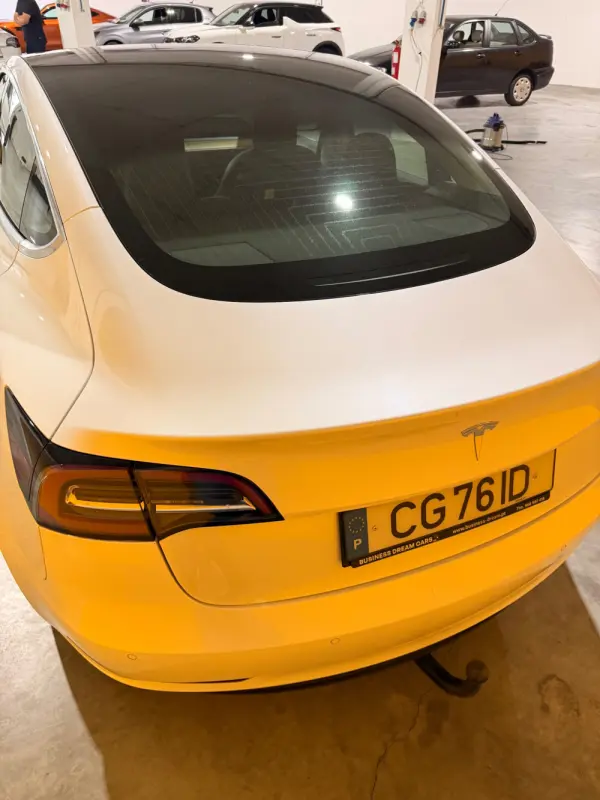 Tesla Model 3 Standard Range Plus RWD 12