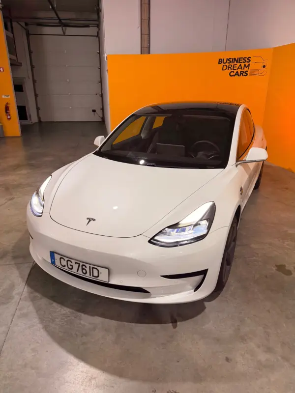 Tesla Model 3 Standard Range Plus RWD 3