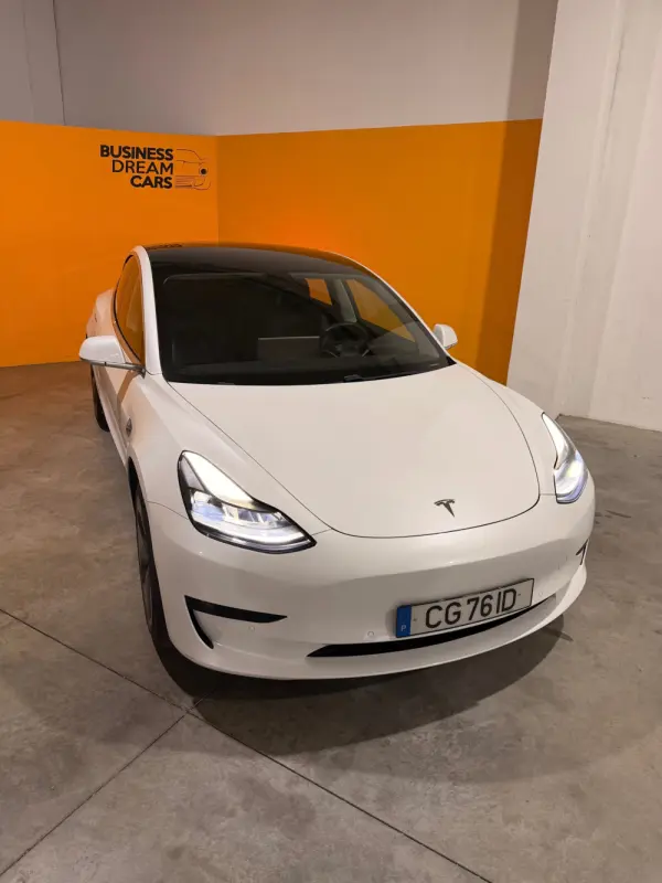 Tesla Model 3 Standard Range Plus RWD 2