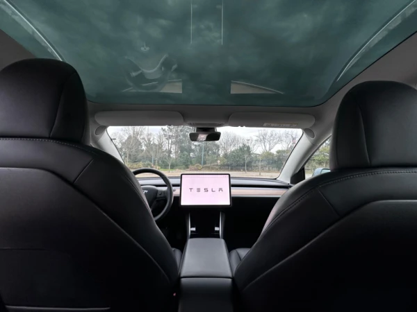 Tesla Model 3 Standard Range 13