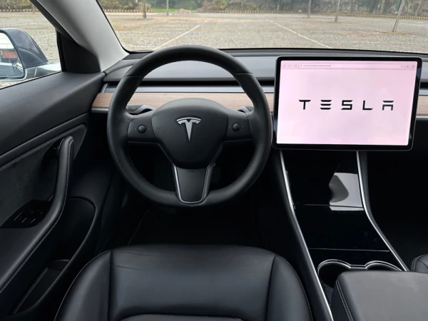 Tesla Model 3 Standard Range 11