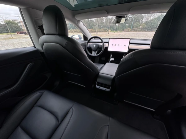 Tesla Model 3 Standard Range 17