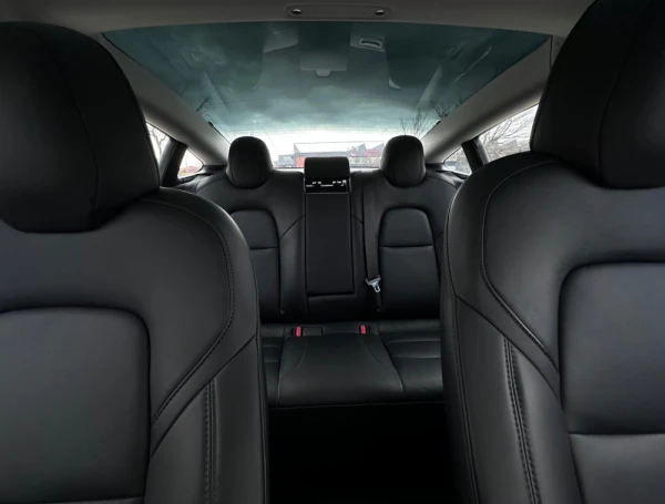 Tesla Model 3 Standard Range 19