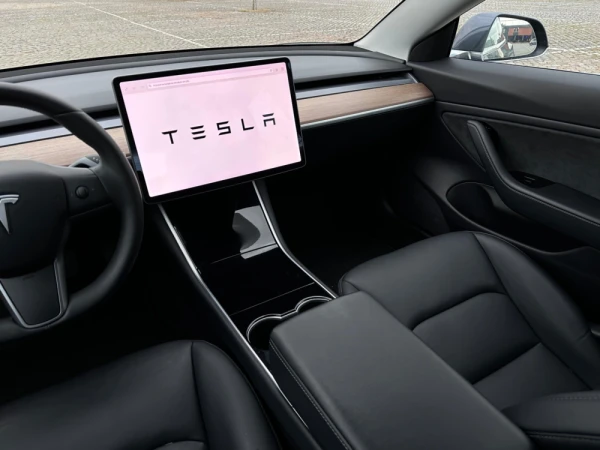 Tesla Model 3 Standard Range 12