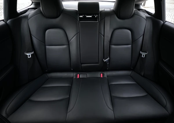 Tesla Model 3 Standard Range 16