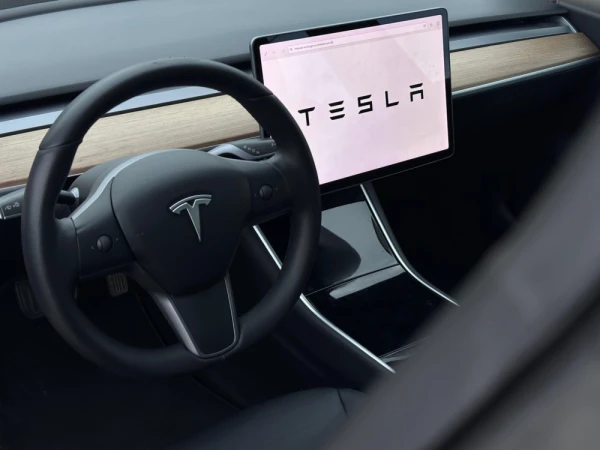 Tesla Model 3 Standard Range 9