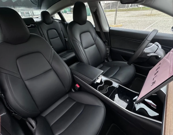 Tesla Model 3 Standard Range 14