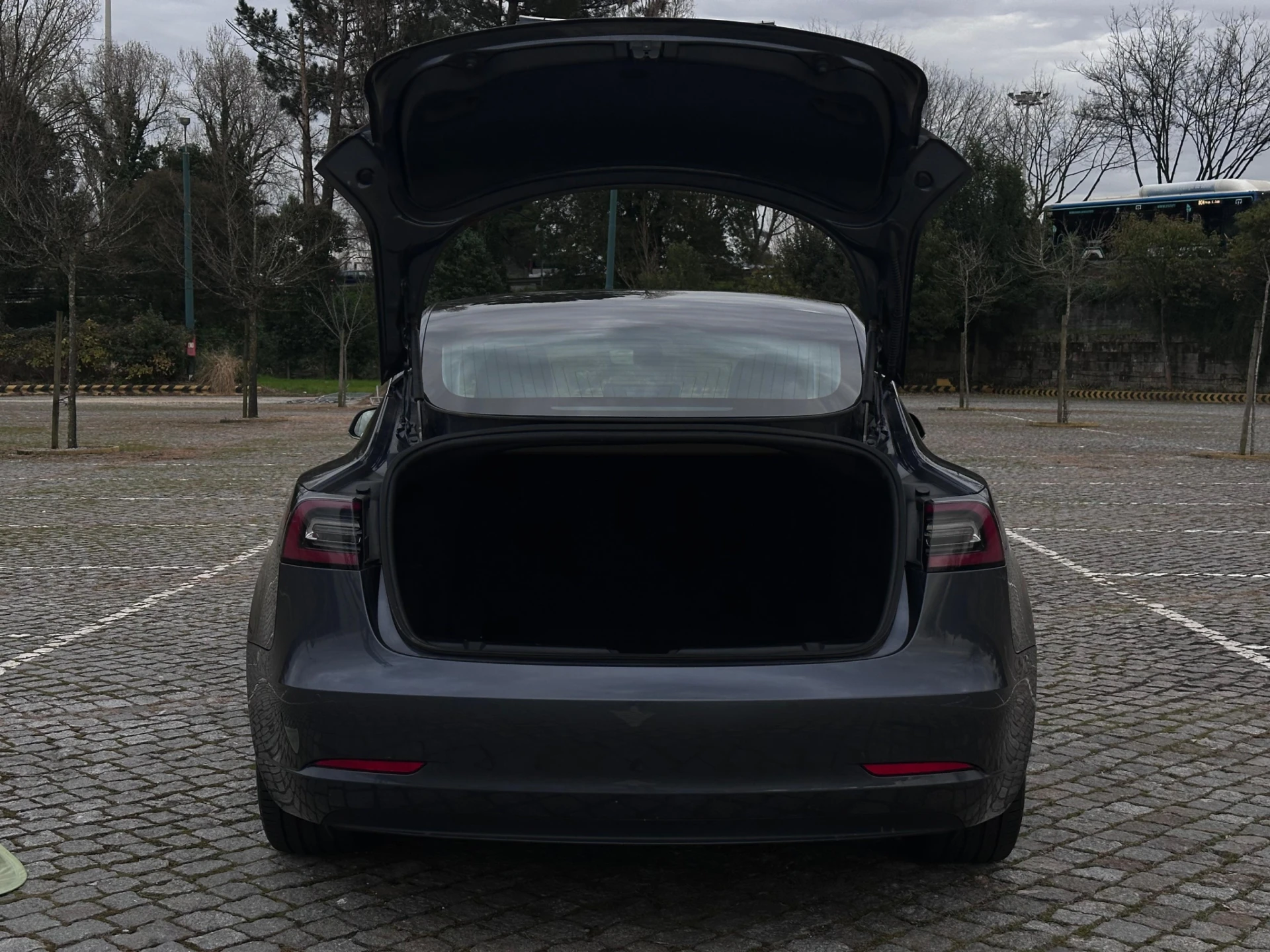 Tesla Model 3 Standard Range 20