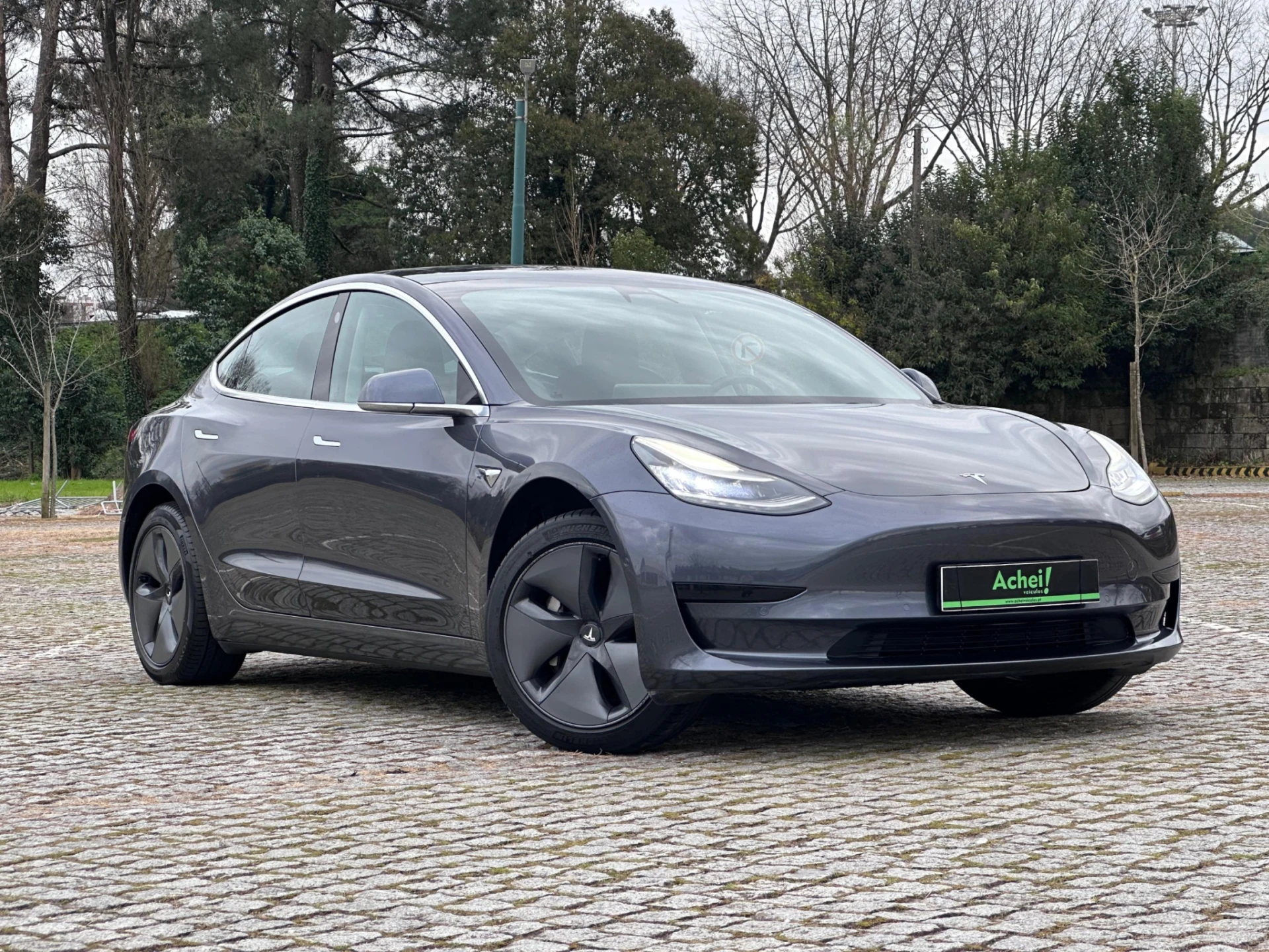 Tesla Model 3 Standard Range 3