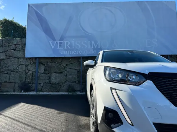 Peugeot 2008 1.5 BlueHDi Active Pack 12