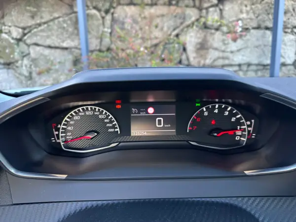 Peugeot 2008 1.5 BlueHDi Active Pack 21