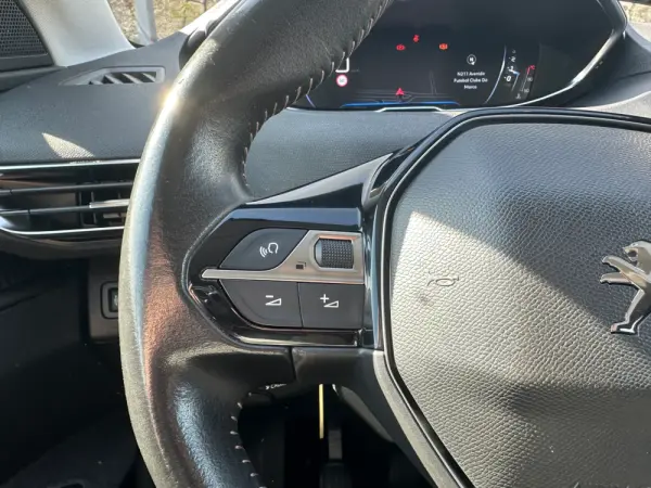 Peugeot 3008 1.5 BlueHDi Active Pack 19