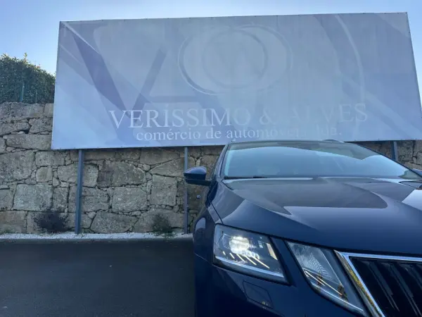 Skoda Octavia Break 1.6 TDI Style 13