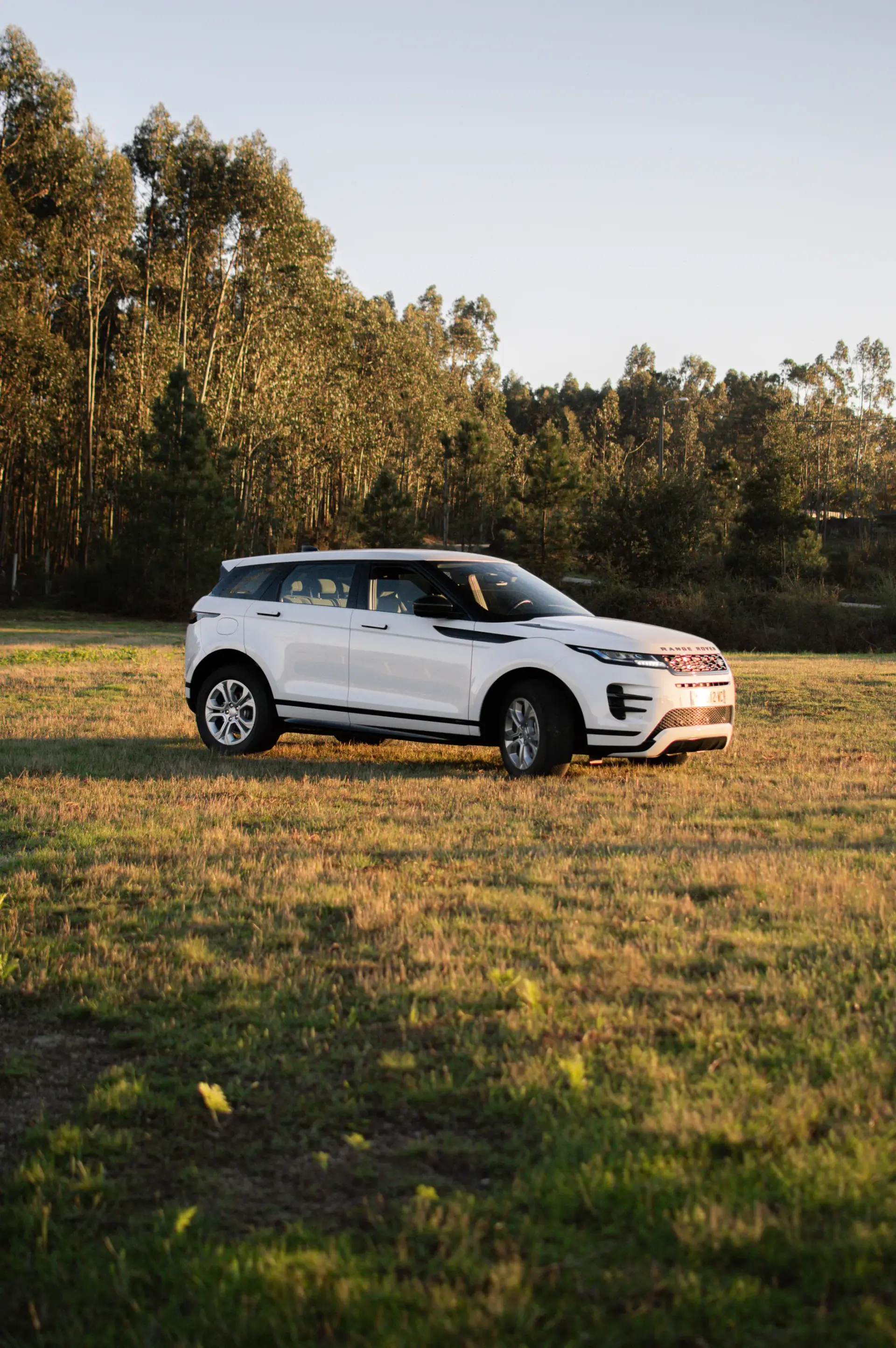 Land Rover Range Rover Evoque 2.0 D150 AWD R-Dynamic Auto 20