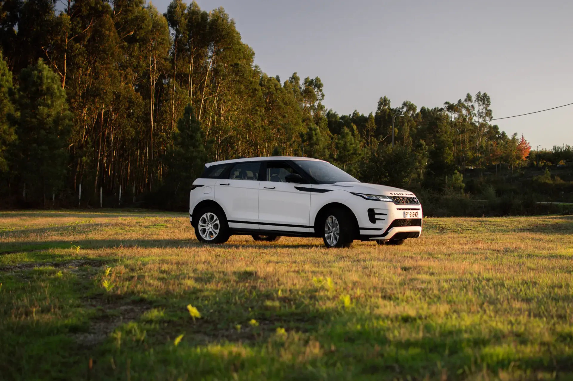 Land Rover Range Rover Evoque 2.0 D150 AWD R-Dynamic Auto 21