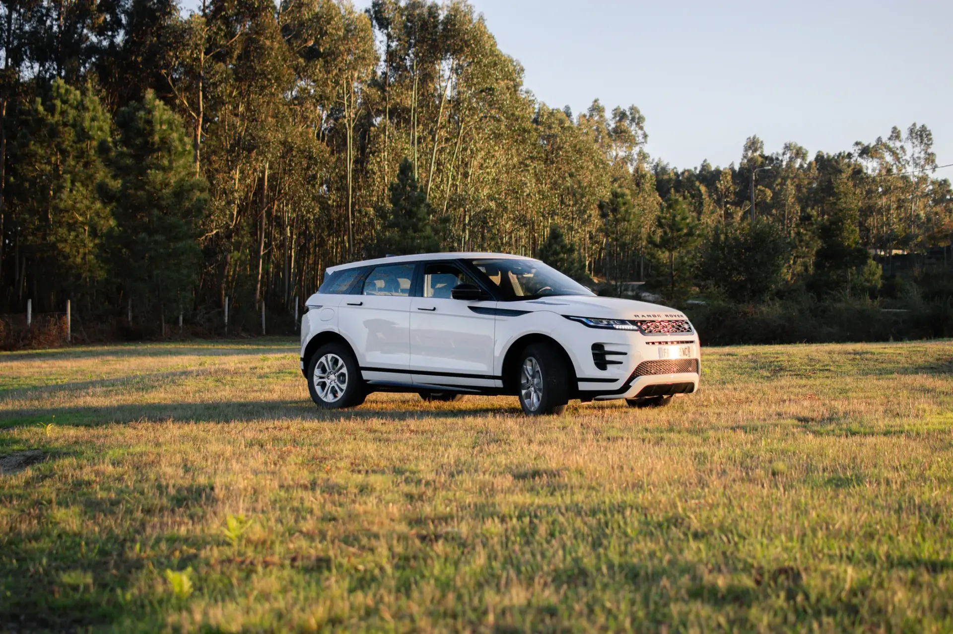 Land Rover Range Rover Evoque 2.0 D150 AWD R-Dynamic Auto 22