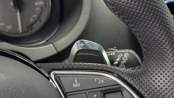 Audi S3 2.0 TFSi quattro S tronic 34