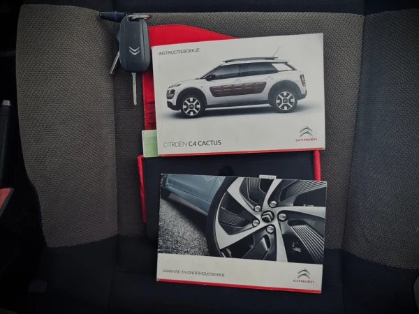 Citroën C4 Cactus 1.6 BlueHDi Feel 19