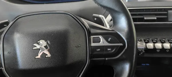 Peugeot 3008 1.6 BlueHDi GT Line EAT6 31