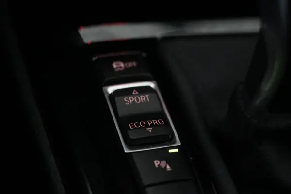 BMW X2 16 d sDrive Auto Pack M 39