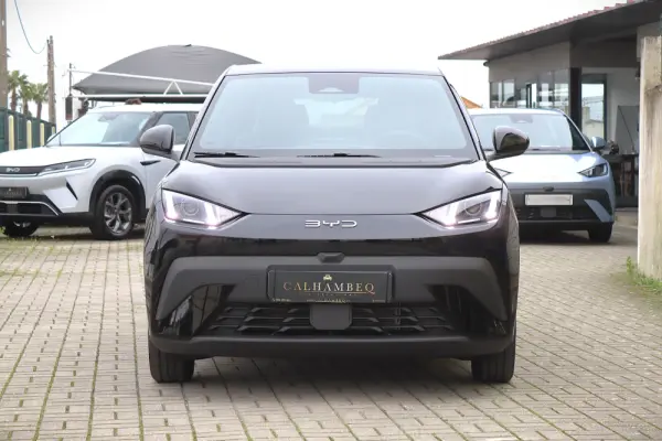 BYD Dolphin Surf 30 kWh Active 2