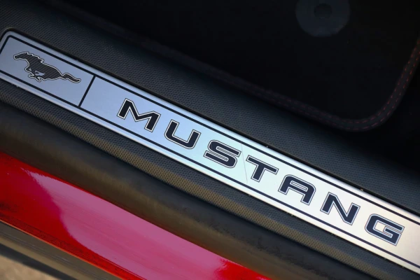 Ford Mustang Mach-E 22