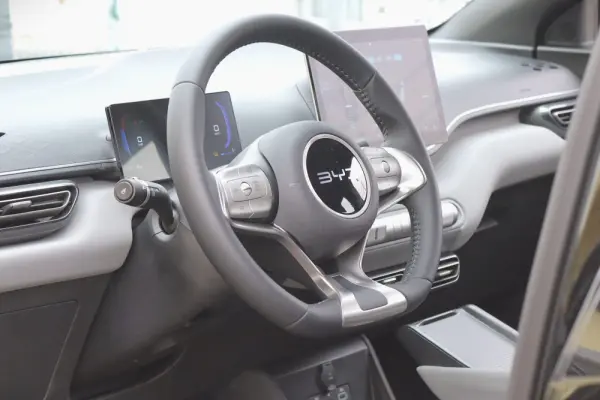 BYD Dolphin Surf 30 kWh Active 19