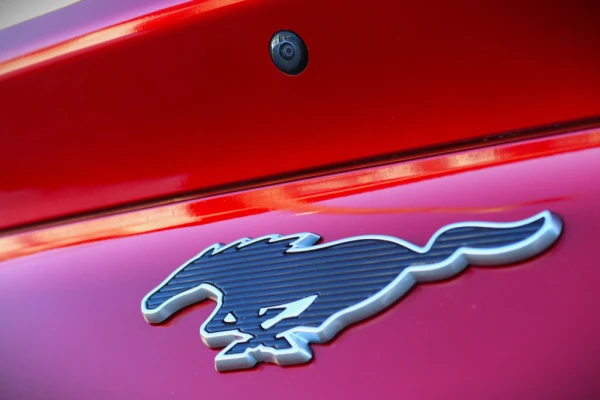 Ford Mustang Mach-E 19