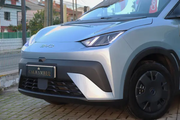 BYD Dolphin Surf 30 kWh Active 11