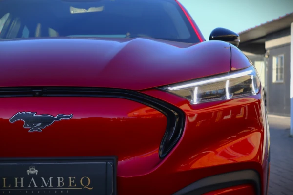 Ford Mustang Mach-E 13