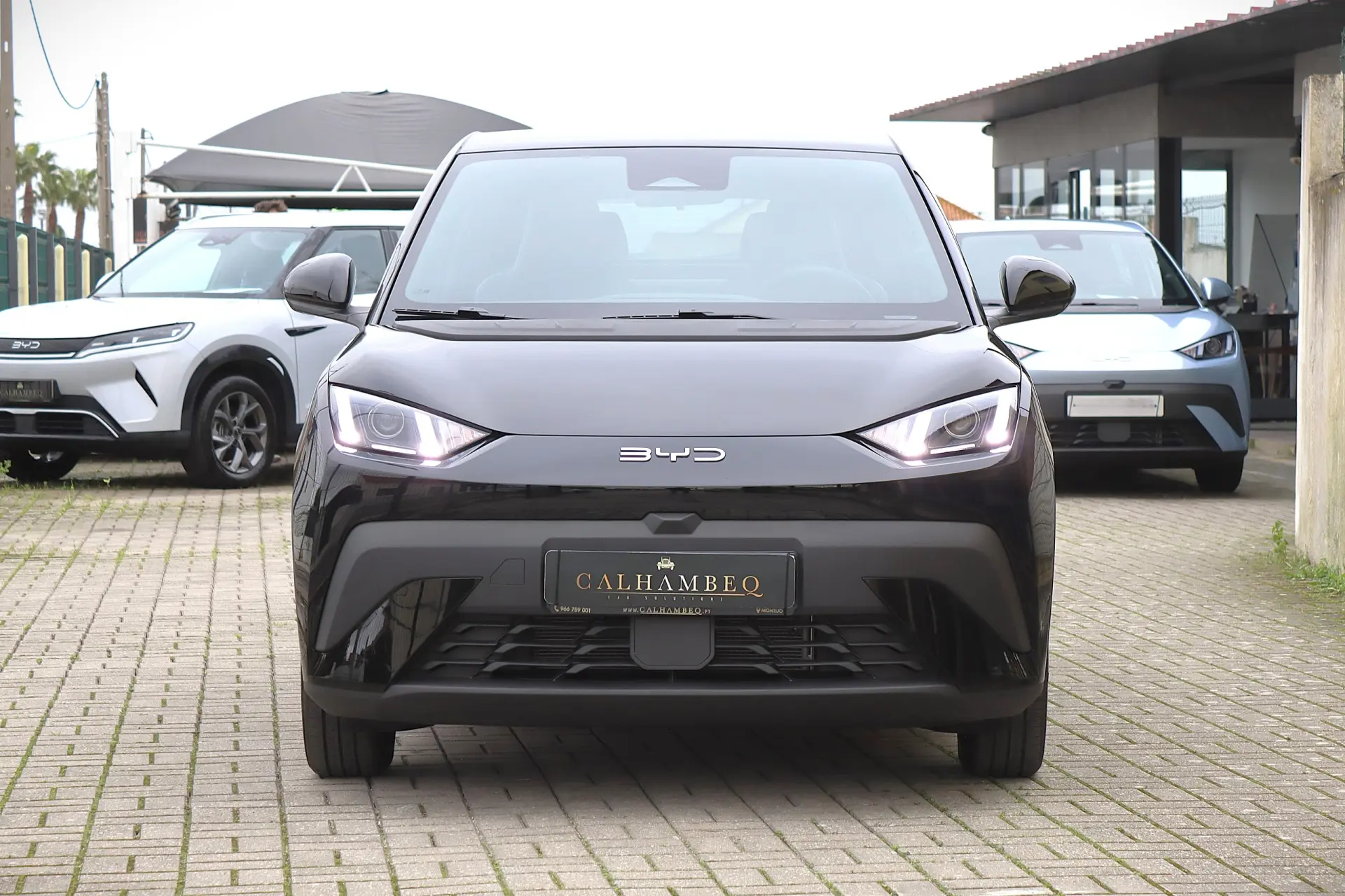 BYD Dolphin Surf 30 kWh Active 2