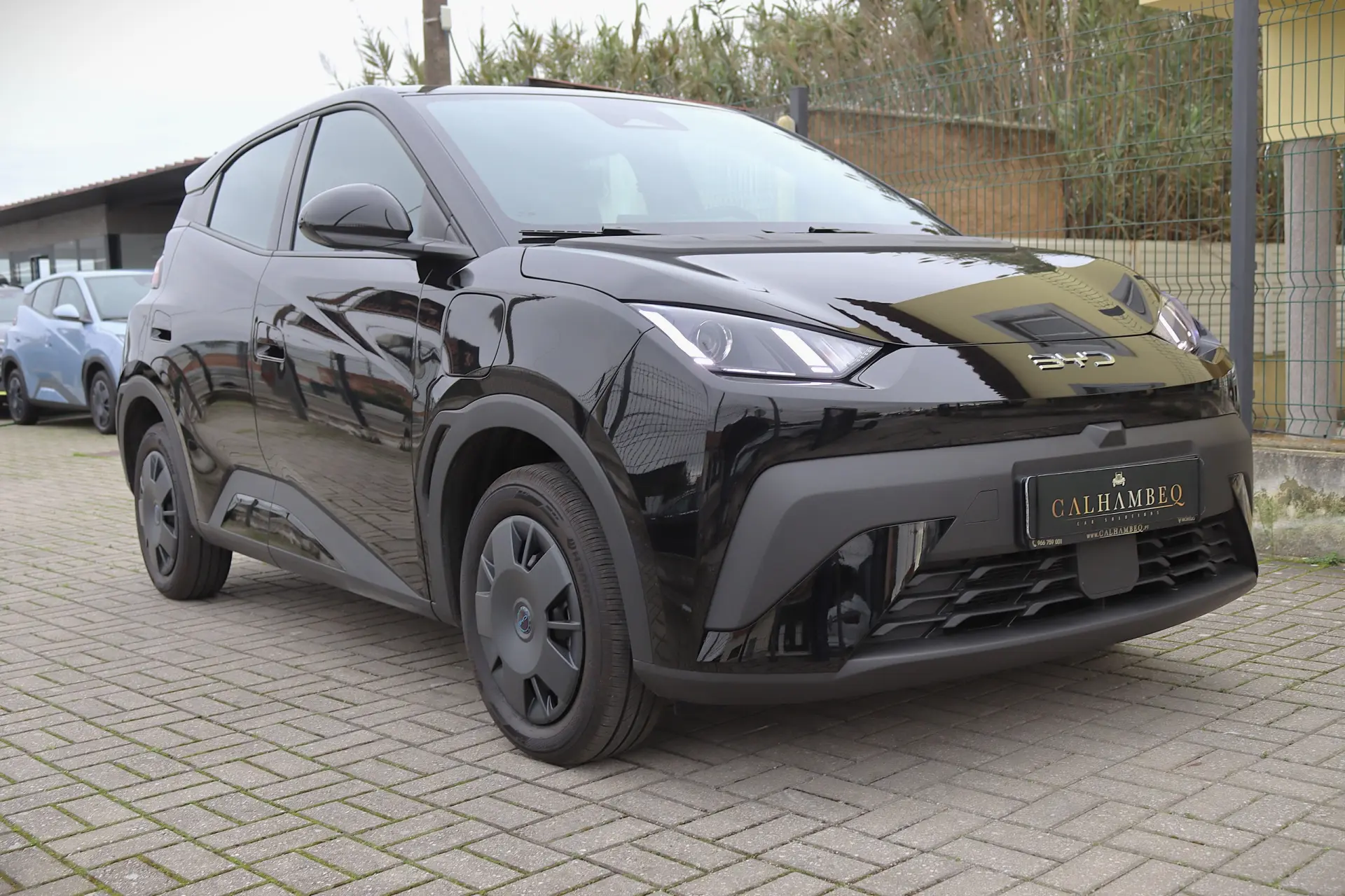 BYD Dolphin Surf 30 kWh Active 9